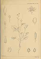  no thumbnail available