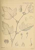  no thumbnail available