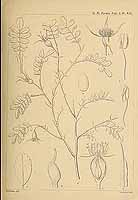  no thumbnail available