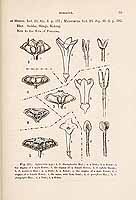  no thumbnail available