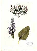  no thumbnail available