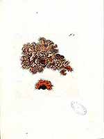  no thumbnail available