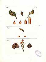  no thumbnail available