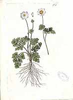  no thumbnail available