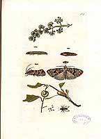  no thumbnail available