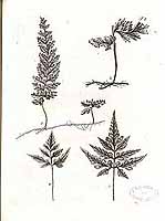  no thumbnail available