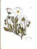  no thumbnail available