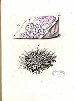  no thumbnail available