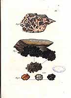  no thumbnail available