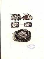  no thumbnail available