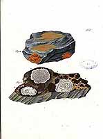  no thumbnail available