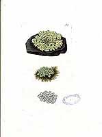  no thumbnail available