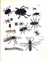  no thumbnail available