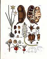  no thumbnail available