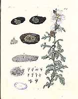  no thumbnail available