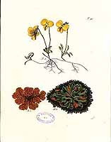  no thumbnail available