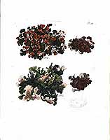  no thumbnail available