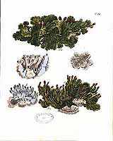  no thumbnail available