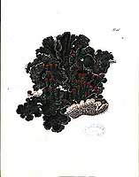  no thumbnail available