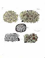  no thumbnail available