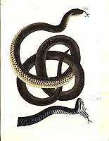  no thumbnail available