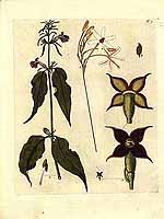  no thumbnail available