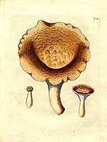  no thumbnail available