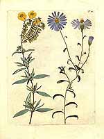  no thumbnail available