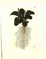  no thumbnail available