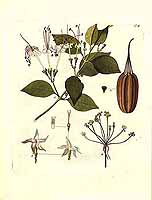  no thumbnail available