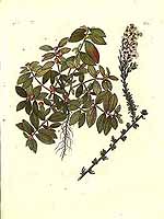  no thumbnail available