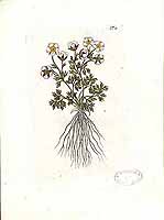  no thumbnail available