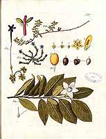  no thumbnail available