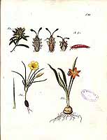  no thumbnail available