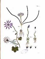  no thumbnail available