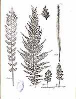  no thumbnail available