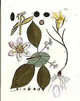  no thumbnail available