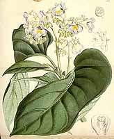  no thumbnail available