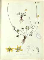  no thumbnail available