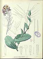  no thumbnail available