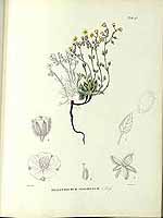  no thumbnail available