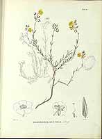  no thumbnail available