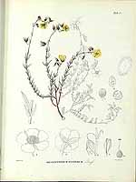  no thumbnail available