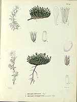  no thumbnail available