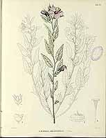  no thumbnail available