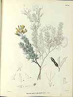  no thumbnail available