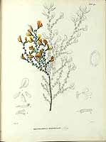  no thumbnail available