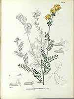  no thumbnail available