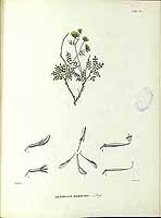  no thumbnail available