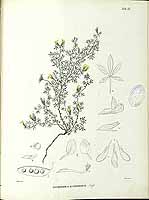  no thumbnail available